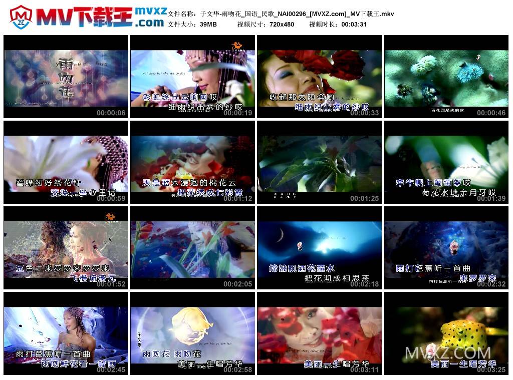 于文华-雨吻花_国语_民歌_NAI00296